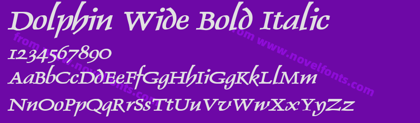 Dolphin Wide Bold ItalicPreview