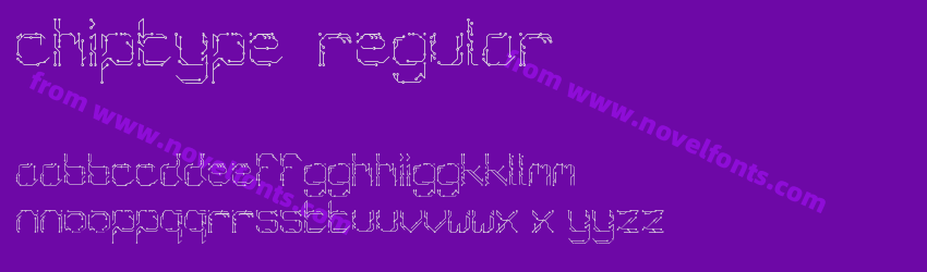 Chiptype RegularPreview