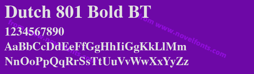 Dutch 801 Bold BTPreview