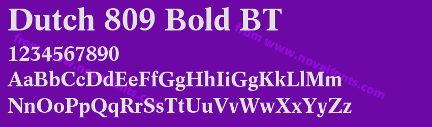 Dutch 809 Bold BTPreview