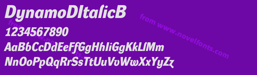 DynamoDItalicBPreview