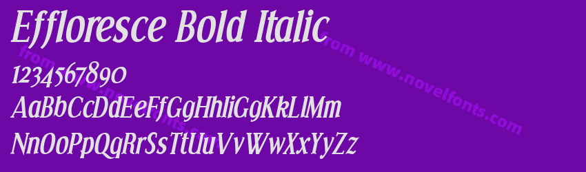 Effloresce Bold ItalicPreview