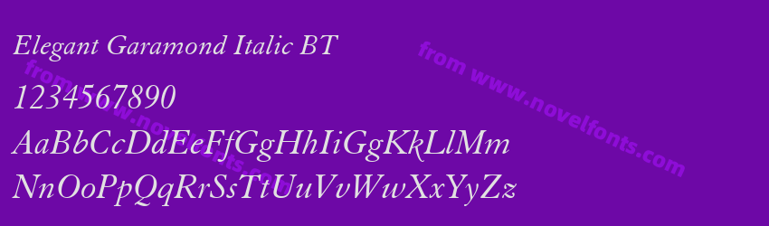 Elegant Garamond Italic BTPreview