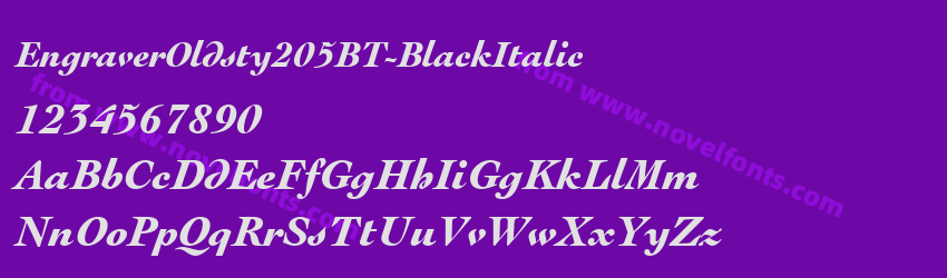 EngraverOldsty205BT-BlackItalicPreview