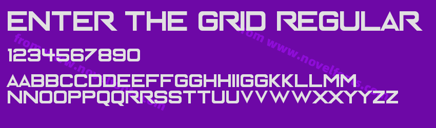 Enter The Grid RegularPreview