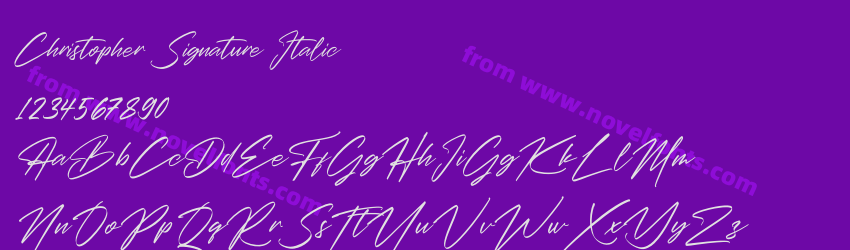 Christopher Signature ItalicPreview