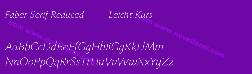 Faber Serif Reduced 46 Leicht KursPreview