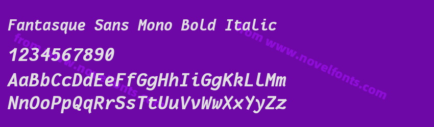 Fantasque Sans Mono Bold ItalicPreview