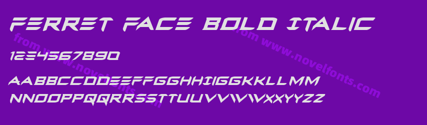 Ferret Face Bold ItalicPreview