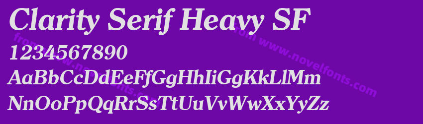 Clarity Serif Heavy SFPreview