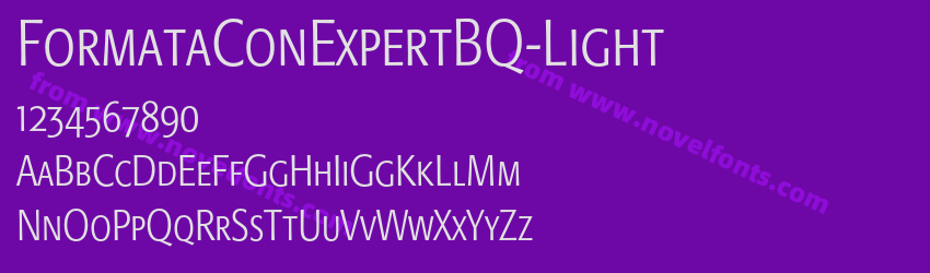 FormataConExpertBQ-LightPreview
