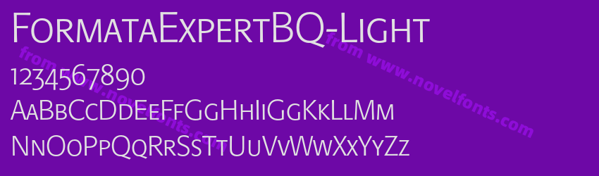 FormataExpertBQ-LightPreview