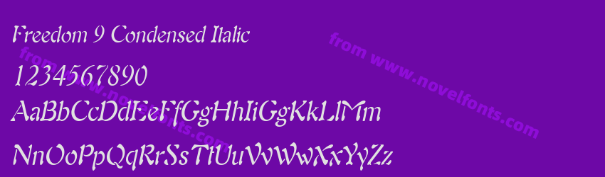 Freedom 9 Condensed ItalicPreview