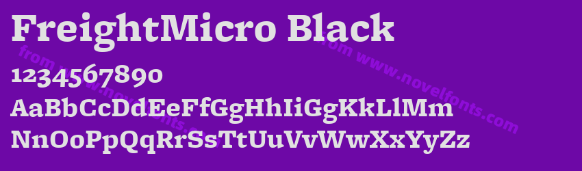 FreightMicro BlackPreview