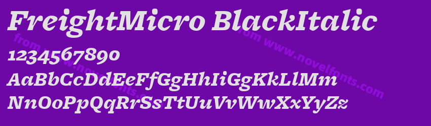 FreightMicro BlackItalicPreview