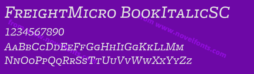 FreightMicro BookItalicSCPreview