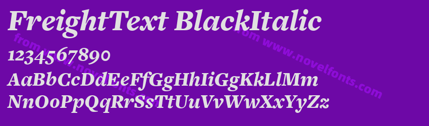 FreightText BlackItalicPreview