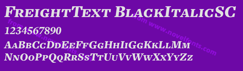 FreightText BlackItalicSCPreview