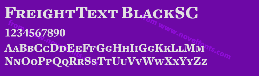 FreightText BlackSCPreview