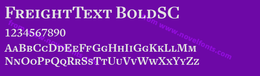 FreightText BoldSCPreview