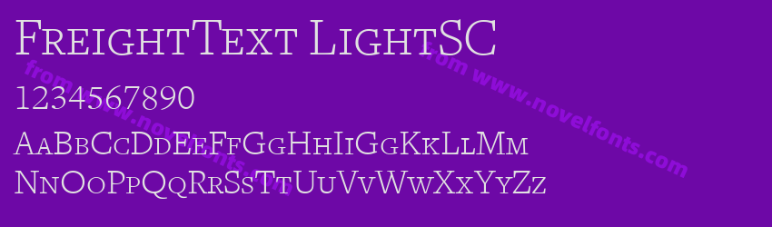 FreightText LightSCPreview