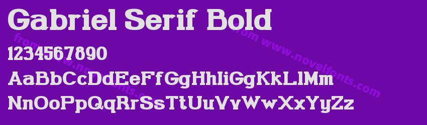 Gabriel Serif BoldPreview