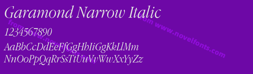 Garamond Narrow ItalicPreview