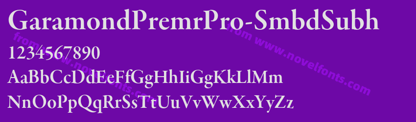 GaramondPremrPro-SmbdSubhPreview