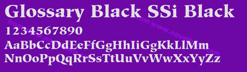 Glossary Black SSi BlackPreview