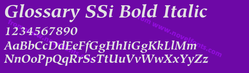 Glossary SSi Bold ItalicPreview