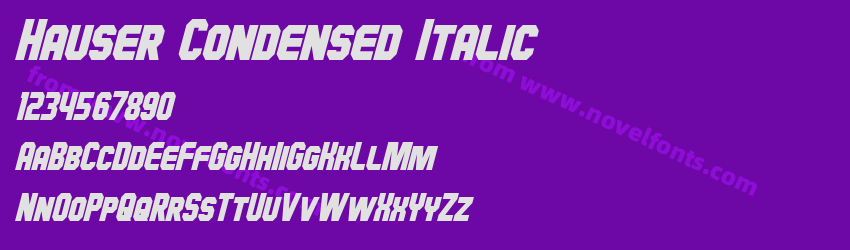 Hauser Condensed ItalicPreview