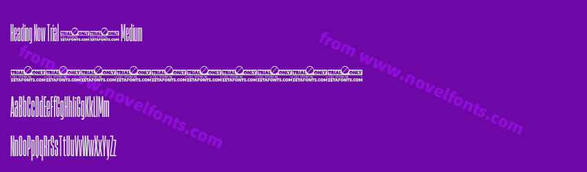 Heading Now Trial 05 MediumPreview