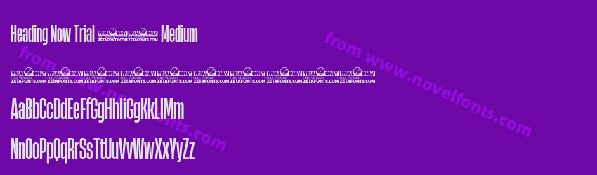 Heading Now Trial 25 MediumPreview