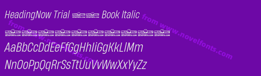 HeadingNow Trial 53 Book ItalicPreview