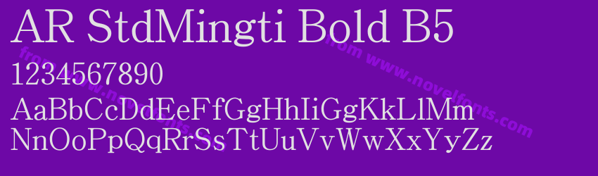 AR StdMingti Bold B5Preview