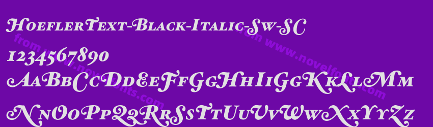 HoeflerText-Black-Italic-Sw-SCPreview