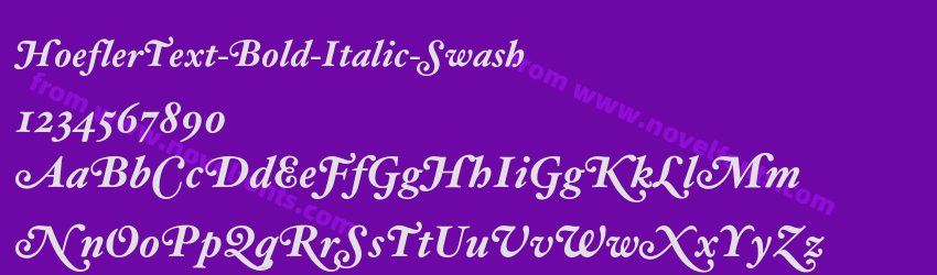 HoeflerText-Bold-Italic-SwashPreview