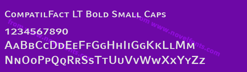 CompatilFact LT Bold Small CapsPreview