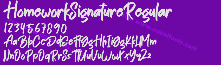 HomeworkSignatureRegularPreview