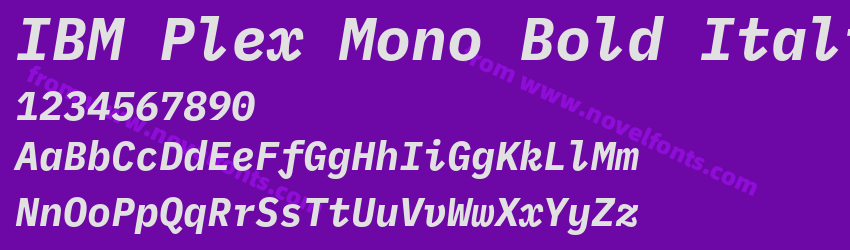 IBM Plex Mono Bold ItalicPreview