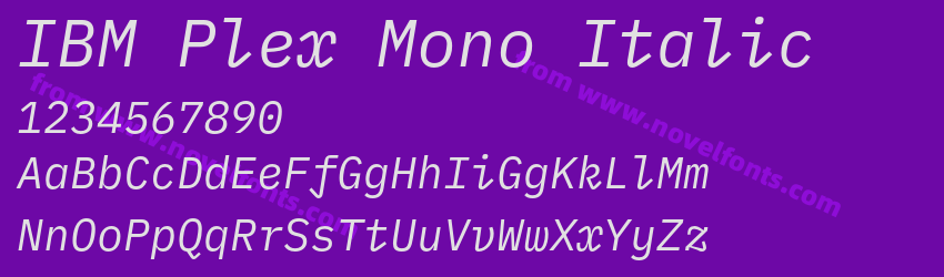 IBM Plex Mono ItalicPreview
