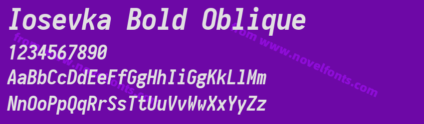 Iosevka Bold ObliquePreview