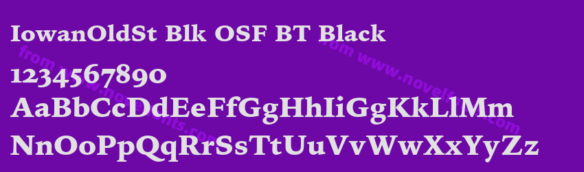 IowanOldSt Blk OSF BT BlackPreview