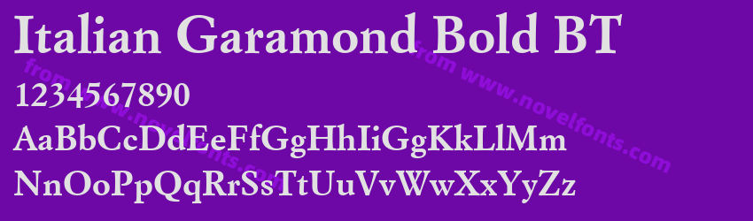 Italian Garamond Bold BTPreview