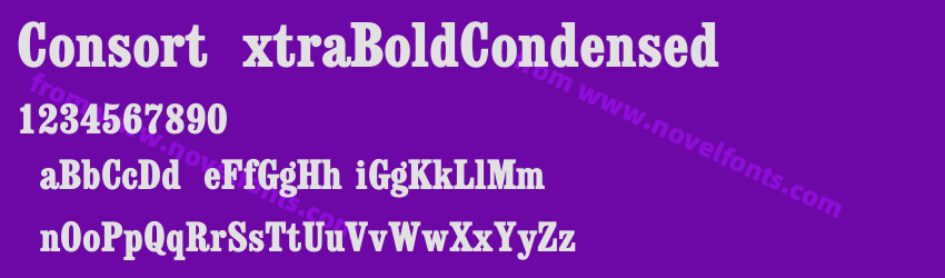 ConsortExtraBoldCondensedPreview