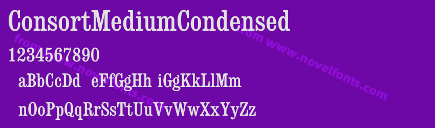 ConsortMediumCondensedPreview