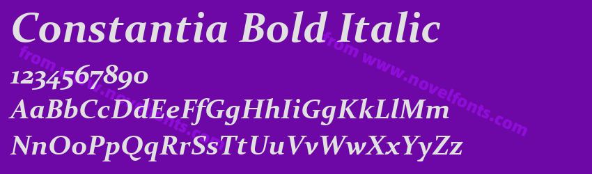 Constantia Bold ItalicPreview