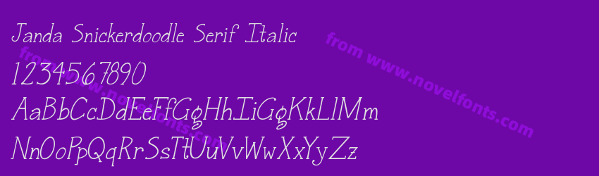 Janda Snickerdoodle Serif ItalicPreview