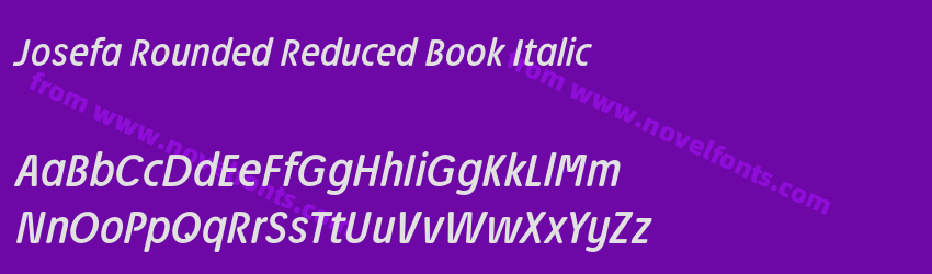 Josefa Rounded Reduced Book ItalicPreview