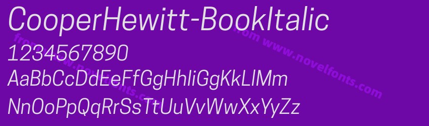 CooperHewitt-BookItalicPreview